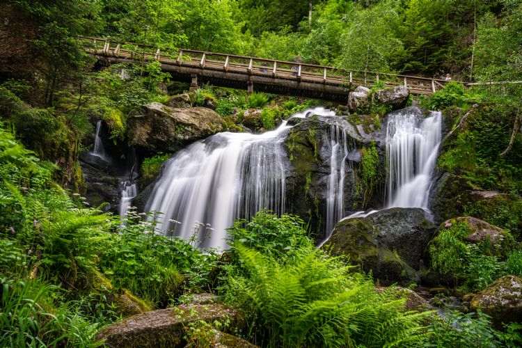 Chutes de Triberg dans la Forêt Noire
