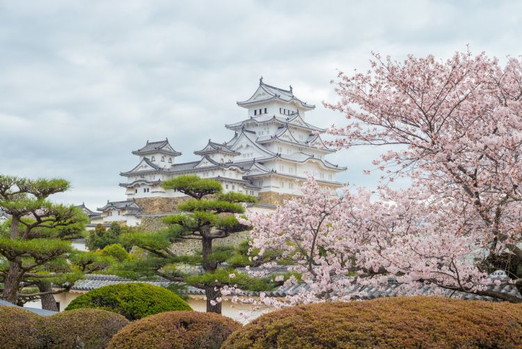Château de Himeji au printemps