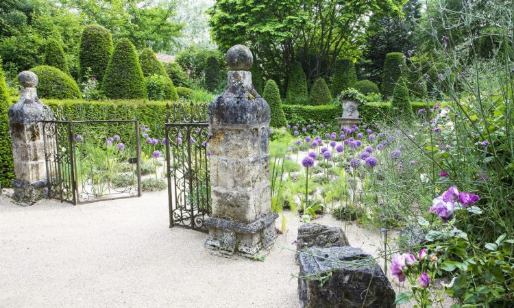 Jardin Agapanthe