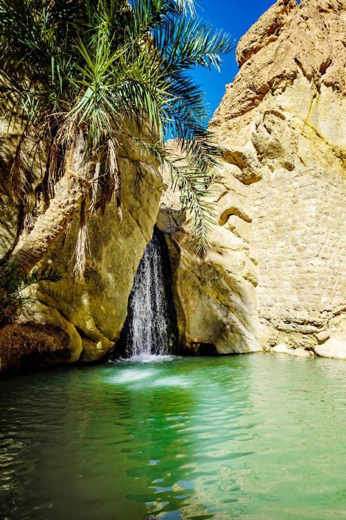 Oasis de Chebika
