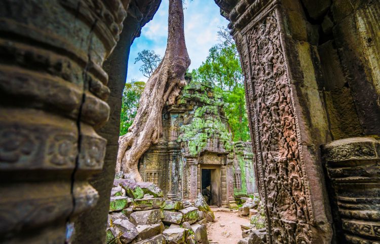 Temple Ta Prohm à Angkor