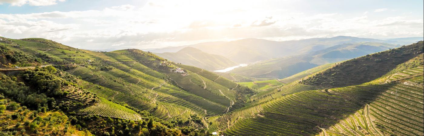 Vallée du Douro