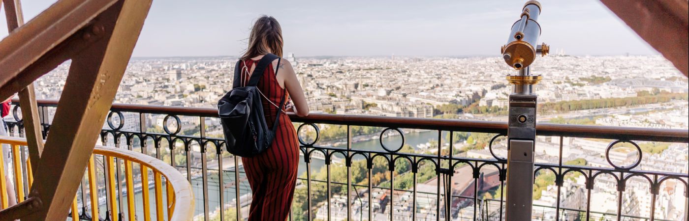 Paris vu de la tour Eiffel