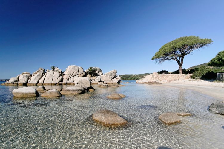 Plage de Palombaggia à Porto-Vecchio