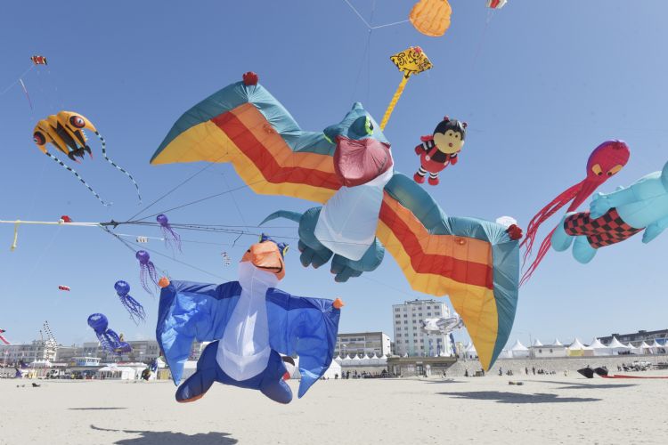 Rencontres Internationales de Cerfs-Volants de Berck-sur-Mer